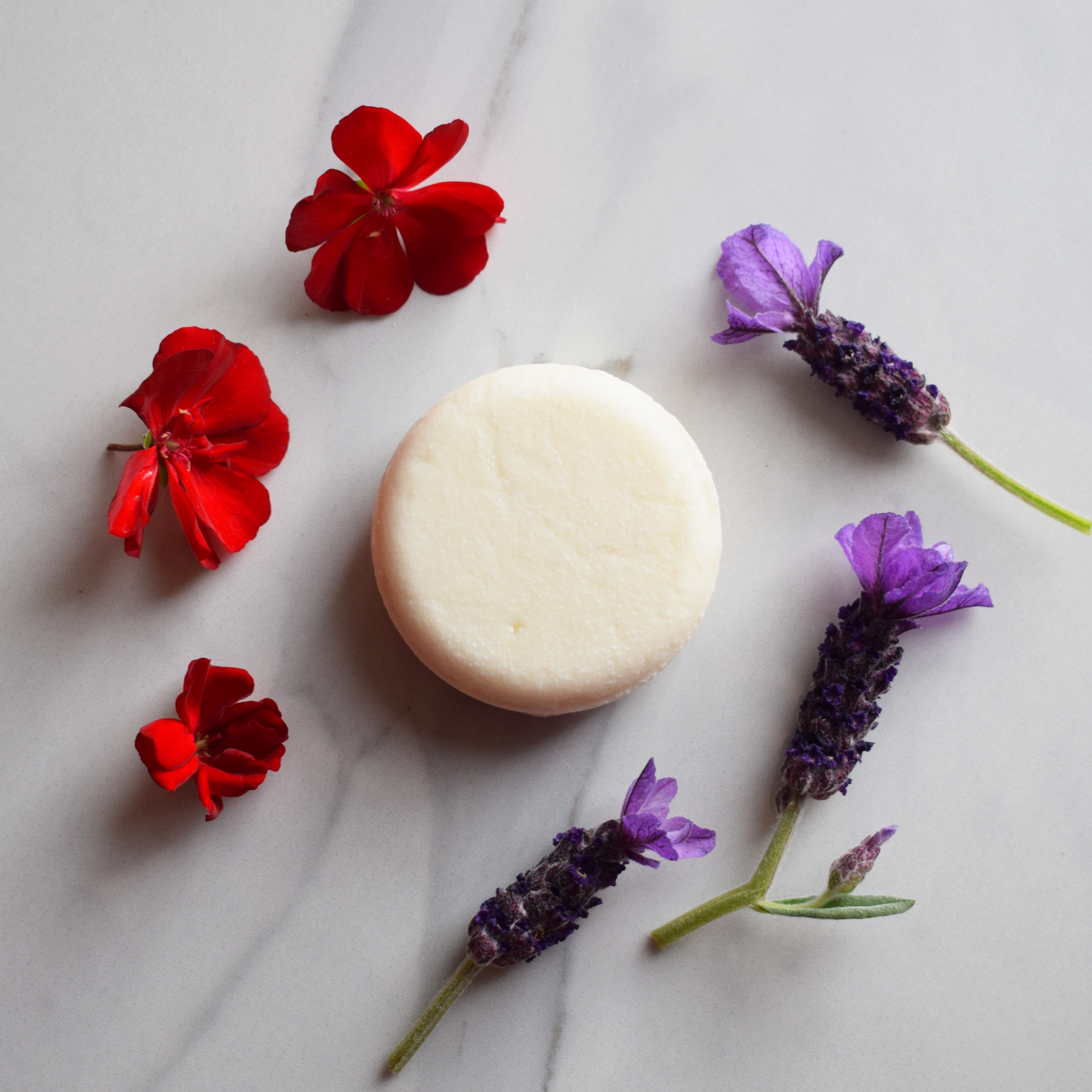 Marigold Charms Lavender Geranium Cedarwood shampoo solido 60 g capelli secchi