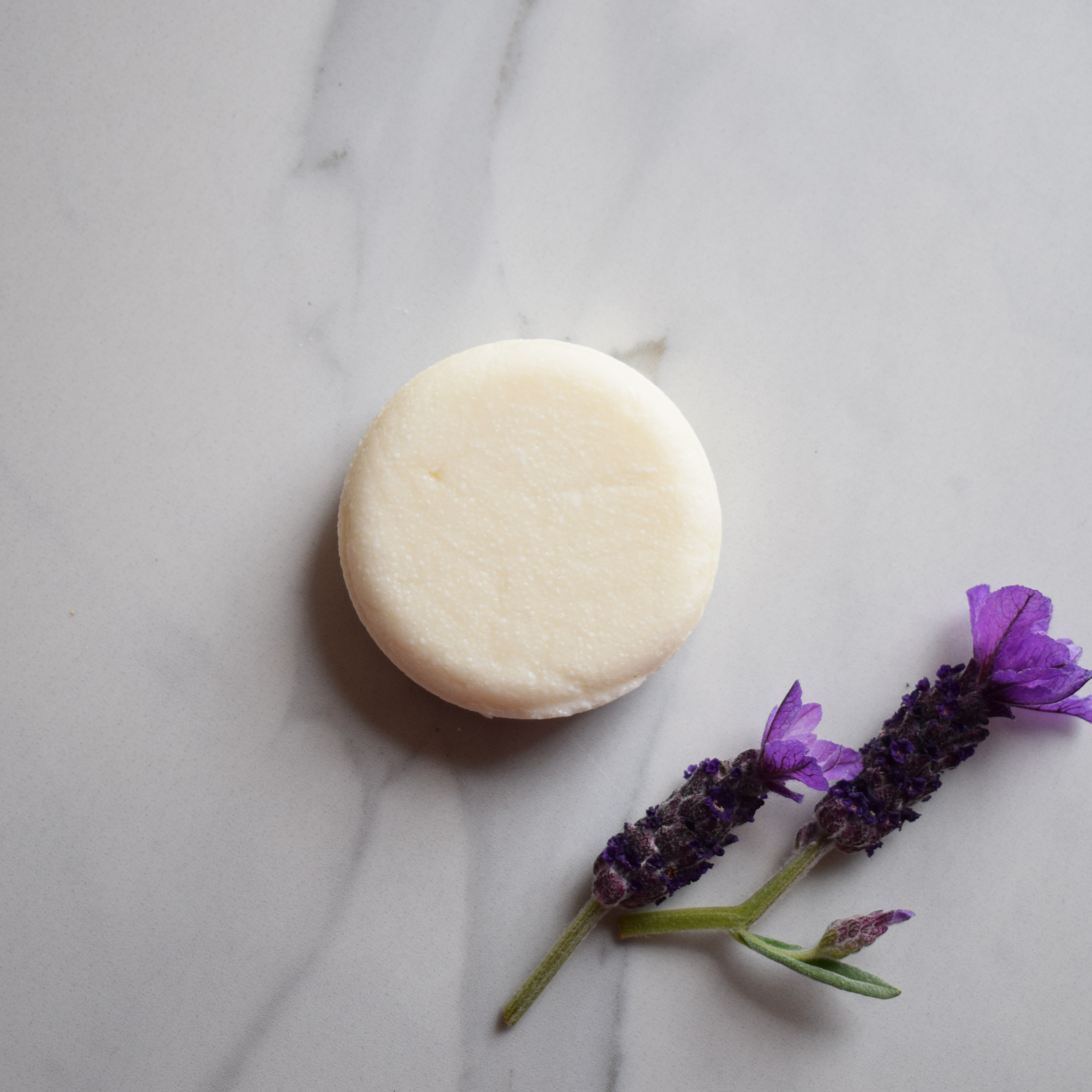 Marigold Charms Tea Tree Lavender Eucalyptus shampoo solido 60g