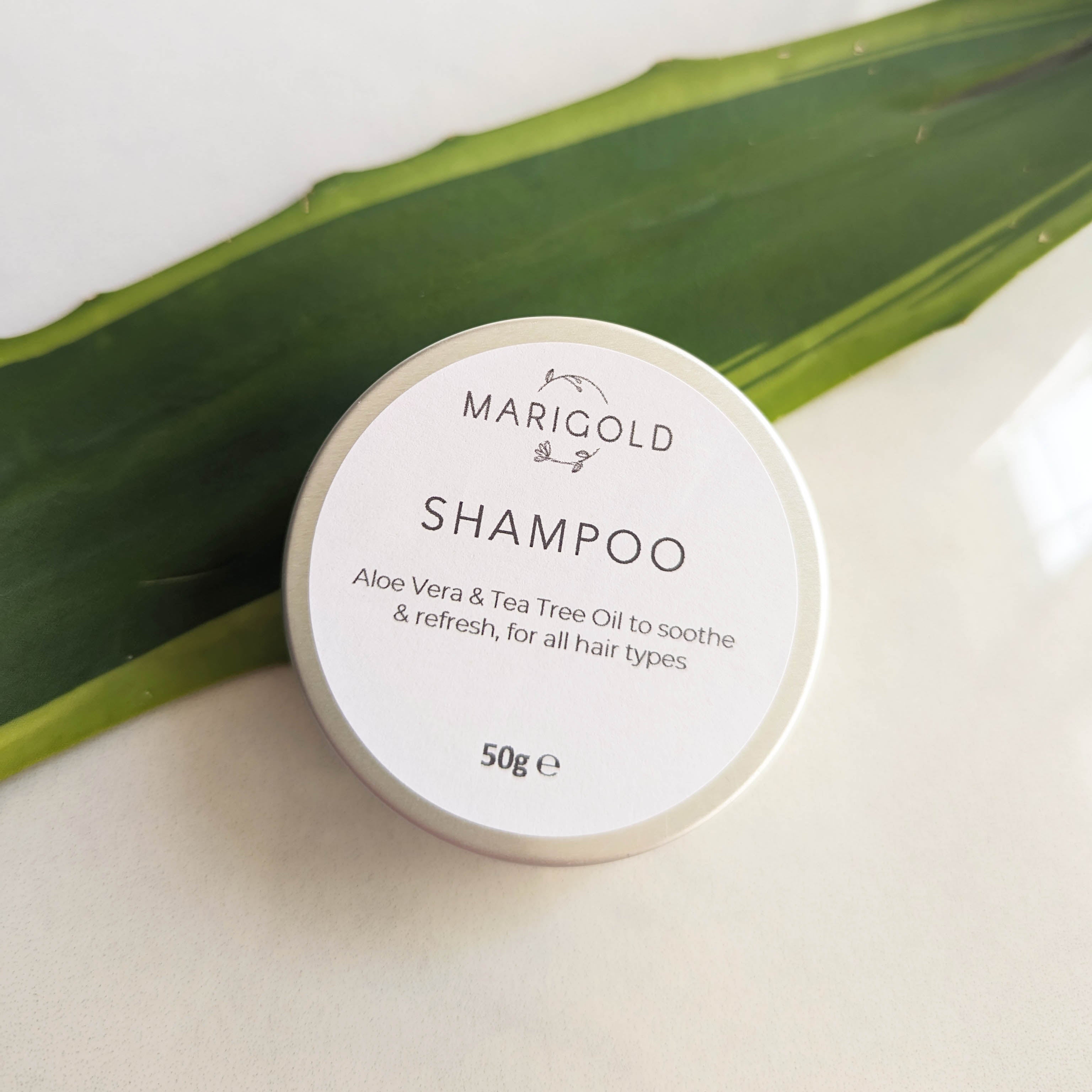 Marigold Charms Aloe Tea Tree Shampoo Solido 50g