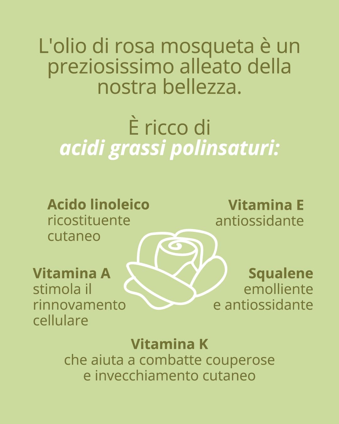 La Saponaria Rosa Mosqueta olio corpo 30 ml elasticizzante